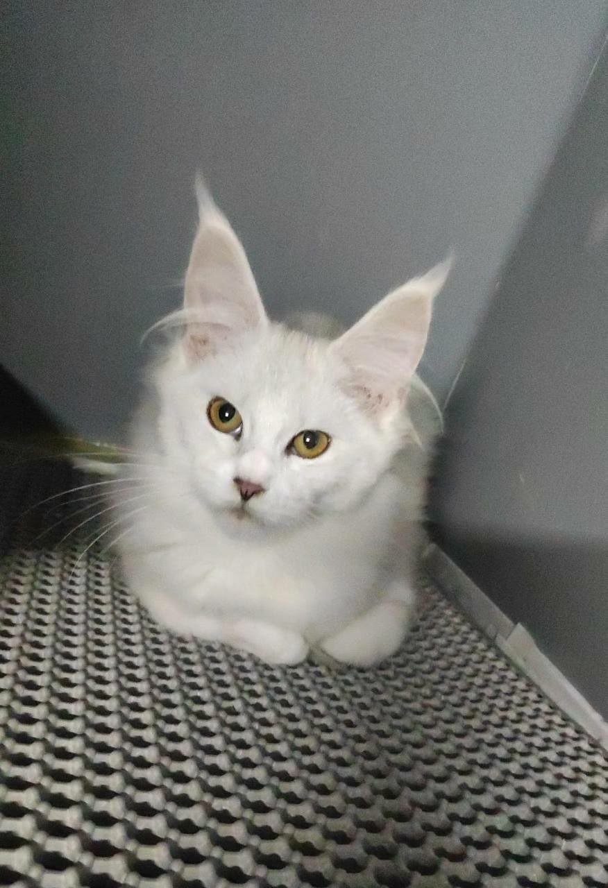 Фото к отзыву