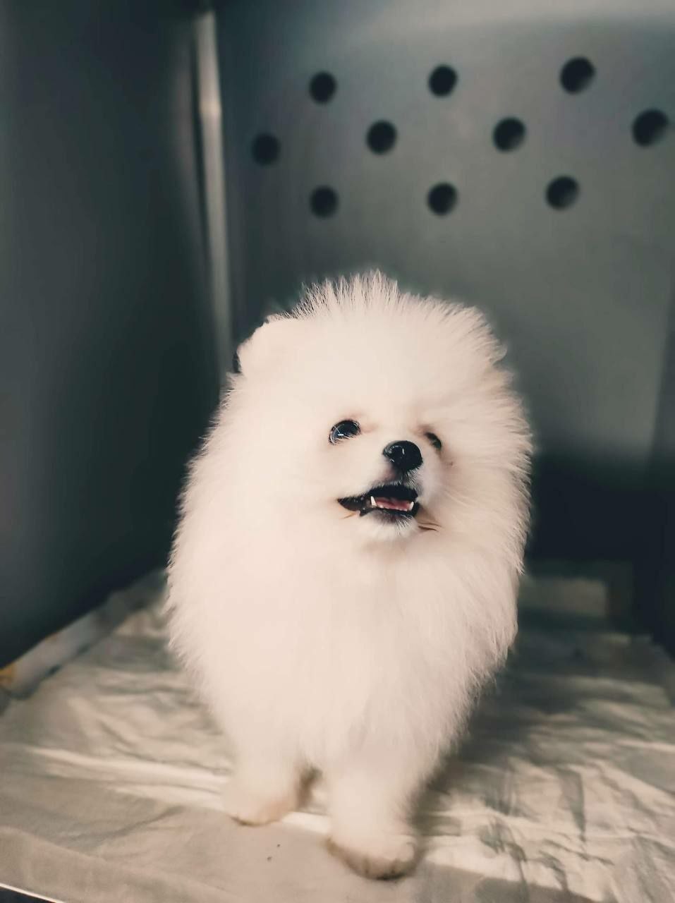 Фото к отзыву