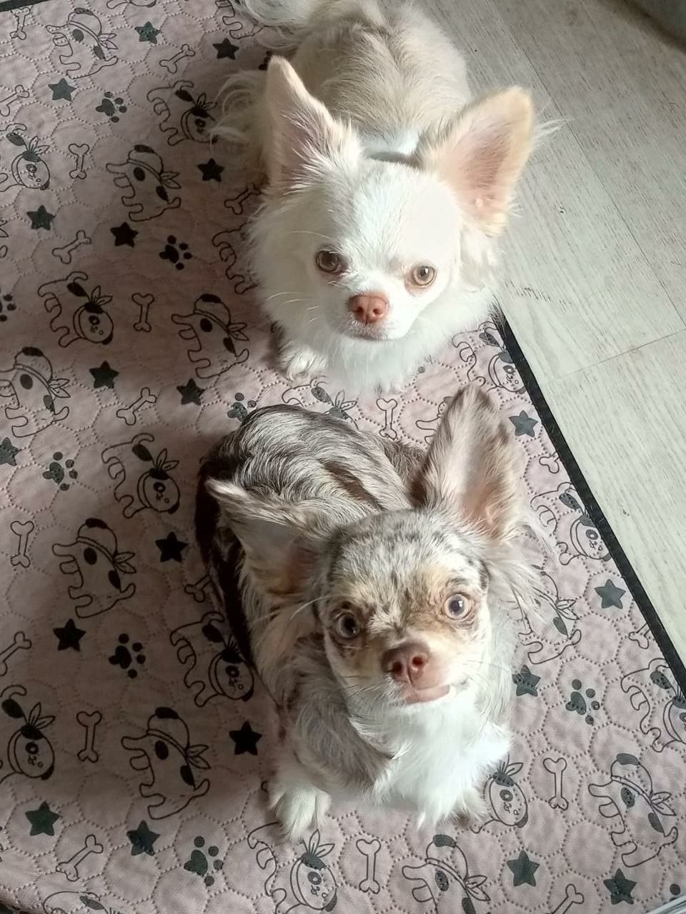 Фото к отзыву